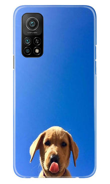 Dog Mobile Back Case for Mi 10T (Design - 332)
