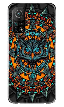 Owl Mobile Back Case for Mi 10T (Design - 360)