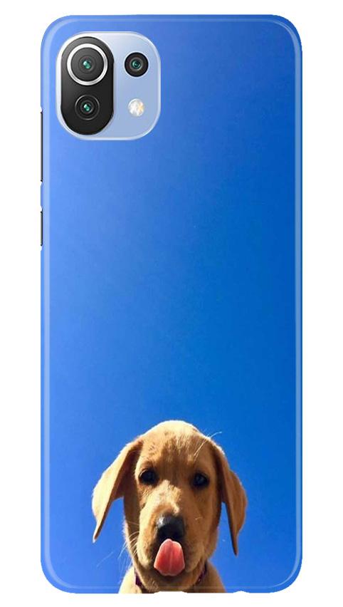 Dog Mobile Back Case for Mi 11 Lite 5G (Design - 332)