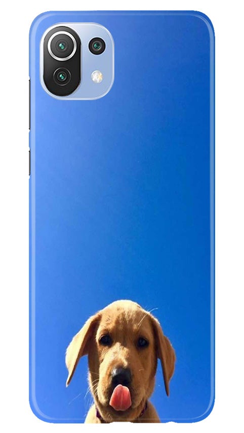 Dog Mobile Back Case for Mi 11 5G(Design - 332)