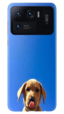 Dog Mobile Back Case for Mi 11 Ultra (Design - 332)