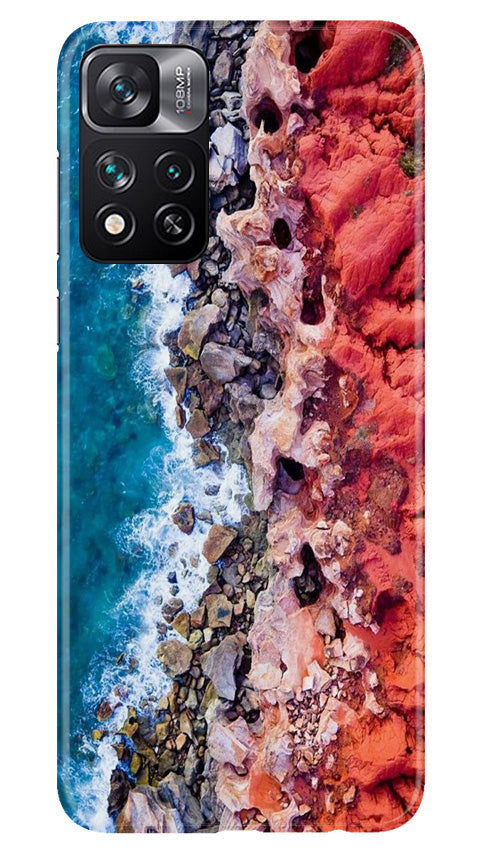 Lion Case for Xiaomi Mi 11i 5G (Design No. 241)