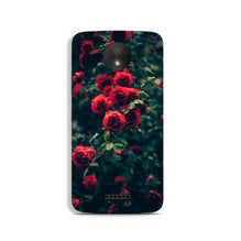 Red Rose Case for Moto C