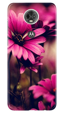 Purple Daisy Mobile Back Case for Moto E5 Plus (Design - 65)