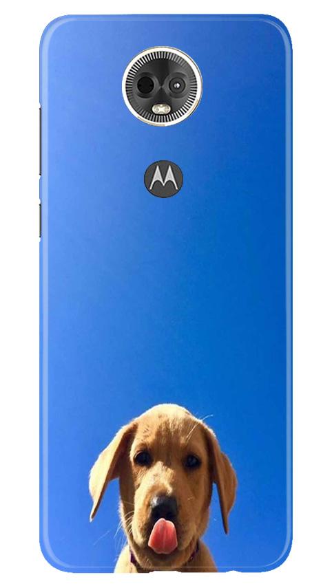 Dog Mobile Back Case for Moto E5 Plus (Design - 332)