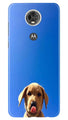 Dog Mobile Back Case for Moto E5 Plus (Design - 332)