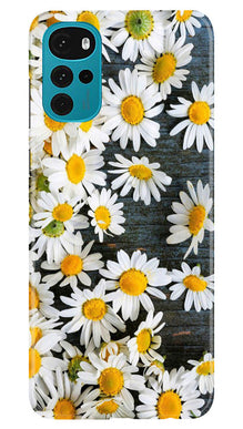 White flowers2 Mobile Back Case for Moto G22 (Design - 62)