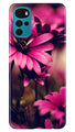 Purple Daisy Case for Moto G22