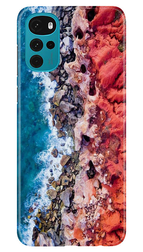 Lion Case for Moto G22 (Design No. 241)
