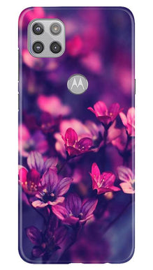 flowers Mobile Back Case for Moto G 5G (Design - 25)