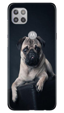 little Puppy Mobile Back Case for Moto G 5G (Design - 68)