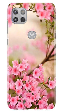 Pink flowers Mobile Back Case for Moto G 5G (Design - 69)
