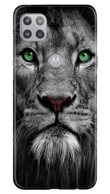 Lion Mobile Back Case for Moto G 5G (Design - 272)