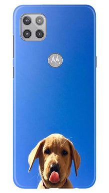 Dog Mobile Back Case for Moto G 5G (Design - 332)