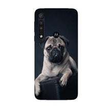 little Puppy Mobile Back Case for Moto G8 Plus (Design - 68)