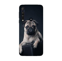 little Puppy Case for Moto G8 Plus