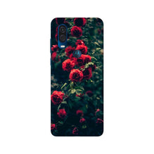 Red Rose Mobile Back Case for Moto One Vision (Design - 66)
