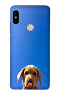 Dog Mobile Back Case for Redmi Note 6 Pro  (Design - 332)