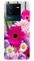 Coloful Daisy2 Case for iQOO Neo 6 5G
