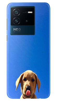 Dog Mobile Back Case for iQOO Neo 6 5G (Design - 294)