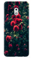 Red Rose Case for Nokia 2.1