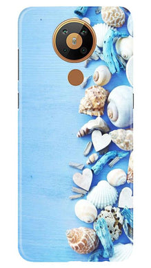 Sea Shells2 Mobile Back Case for Nokia 5.3 (Design - 64)