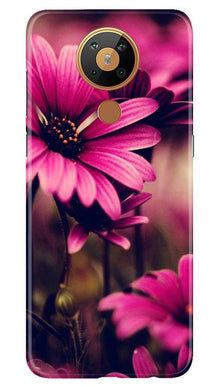 Purple Daisy Mobile Back Case for Nokia 5.3 (Design - 65)