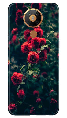Red Rose Mobile Back Case for Nokia 5.3 (Design - 66)