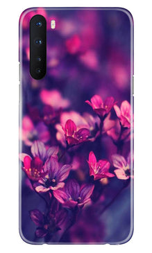 flowers Mobile Back Case for OnePlus Nord (Design - 25)