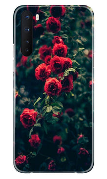 Red Rose Mobile Back Case for OnePlus Nord (Design - 66)