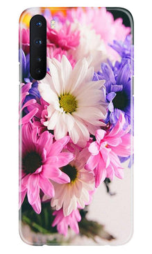 Coloful Daisy Mobile Back Case for OnePlus Nord (Design - 73)
