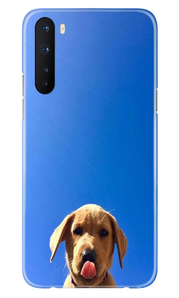 Dog Mobile Back Case for OnePlus Nord (Design - 332)