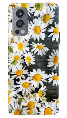 White flowers2 Mobile Back Case for OnePlus Nord 2 5G (Design - 62)