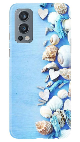 Sea Shells2 Case for OnePlus Nord 2 5G