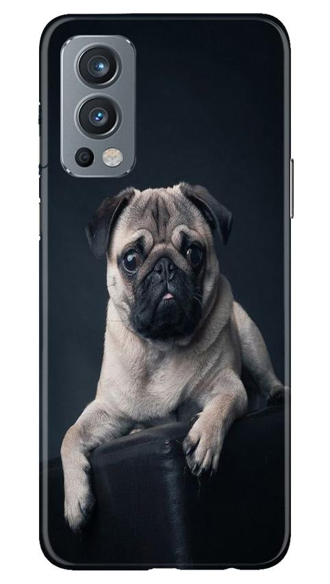 little Puppy Case for OnePlus Nord 2 5G