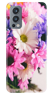 Coloful Daisy Mobile Back Case for OnePlus Nord 2 5G (Design - 73)