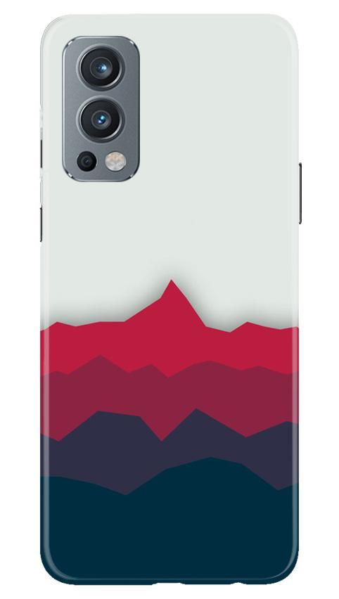Designer Case for OnePlus Nord 2 5G (Design - 195)