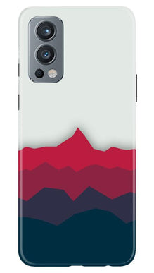 Designer Mobile Back Case for OnePlus Nord 2 5G (Design - 195)