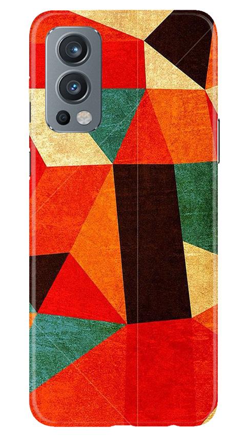 Modern Art Case for OnePlus Nord 2 5G (Design - 203)