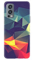 Modern Art Case for OnePlus Nord 2 5G (Design No. 232)