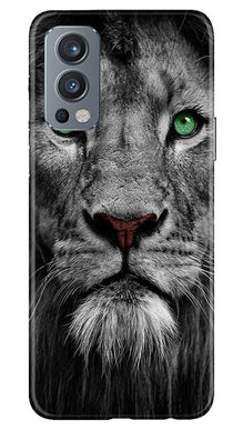 Lion Mobile Back Case for OnePlus Nord 2 5G (Design - 272)
