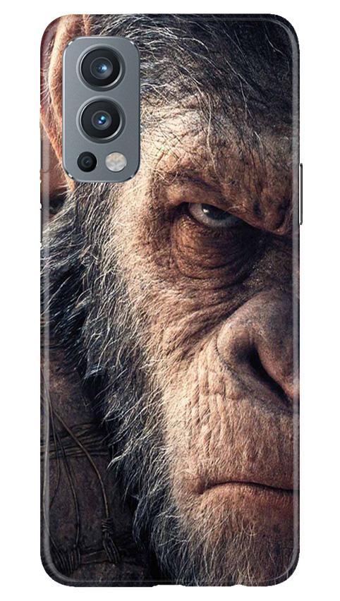 Angry Ape Mobile Back Case for OnePlus Nord 2 5G (Design - 316)