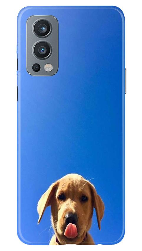Dog Mobile Back Case for OnePlus Nord 2 5G (Design - 332)