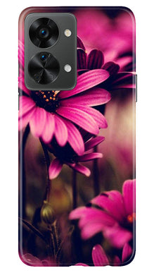 Purple Daisy Mobile Back Case for OnePlus Nord 2T 5G (Design - 65)