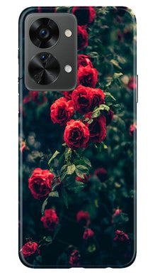 Red Rose Mobile Back Case for OnePlus Nord 2T 5G (Design - 66)
