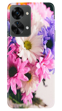 Coloful Daisy Mobile Back Case for OnePlus Nord 2T 5G (Design - 73)
