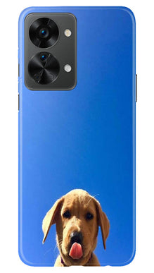 Dog Mobile Back Case for OnePlus Nord 2T 5G (Design - 294)
