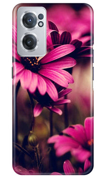 Purple Daisy Mobile Back Case for OnePlus Nord CE 2 5G (Design - 65)