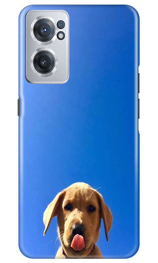 Dog Mobile Back Case for OnePlus Nord CE 2 5G (Design - 294)