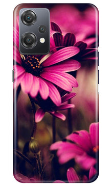 Purple Daisy Mobile Back Case for OnePlus Nord CE 2 Lite 5G (Design - 65)